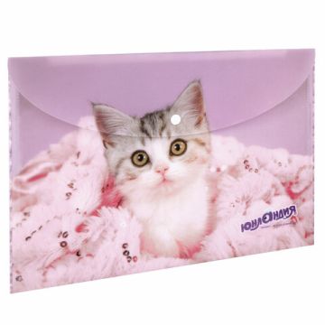 Папка-конверт с кнопкой ЮНЛАНДИЯ Кот, А4