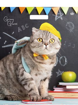 Пакет с вырубной ручкой (39х48)-50 Грэй Глосс Ученый кот Тико 50/500