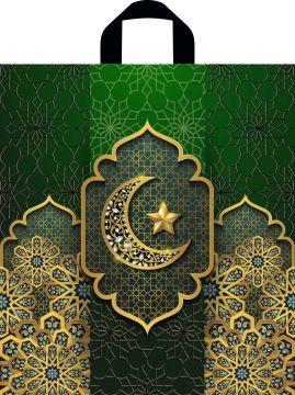 Пакет с петлевой ручкой (44х48)-95 Великий Восток Тико 50/250