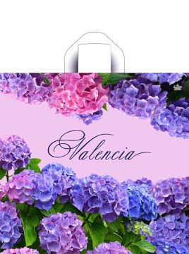 Пакет с петлевой ручкой (44x42)-70 Валенсия Тико 50/300