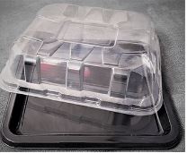 Блюдо ПЭТ дно(290х260х25) +крышка (290х260х63) New Box 40/80