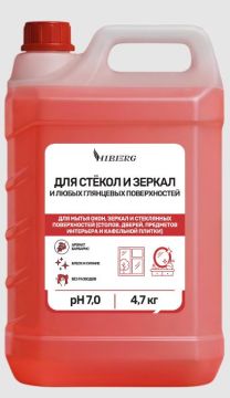 Средство для мытья стекол и зеркал канистра 5л HOME Барбарис HIBERG 1/4 