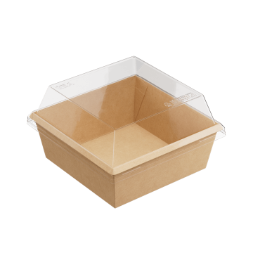 Крышка для контейнера 1250мл 165х165х40мм OneClick прозр купольная 1EA 50/300 Крышка для контейнера 1250мл 165х165х40мм OneClick прозр купольная 1EA 50/300 (вывод)