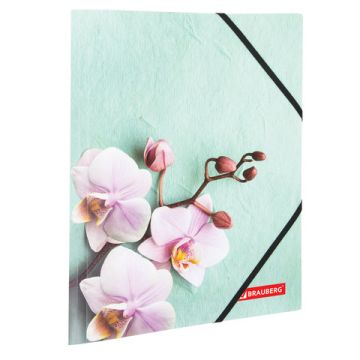 Папка на резинках BRAUBERG FLOWER до 300 листов 500 мкм 1/12/180