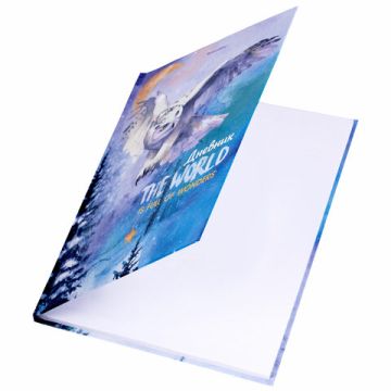 Дневник 1-11кл 40л (твердый) глянц ламинация Сова 1/28 (Клиент)