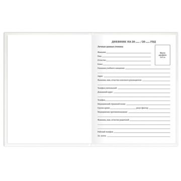 Дневник 1-11кл 40л (твердый) матовая ламинация Белый 1/28