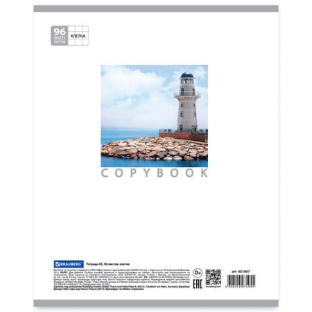 Тетрадь 96л А5 клетка обложка картон КАНИКУЛЫ BRAUBERG 5/50