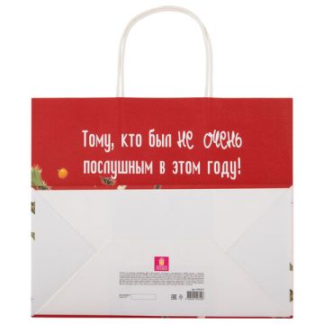 НГ Пакет подарочный крафтовый (28х24х14) Котики ЗОЛОТАЯ СКАЗКА 1/24/144