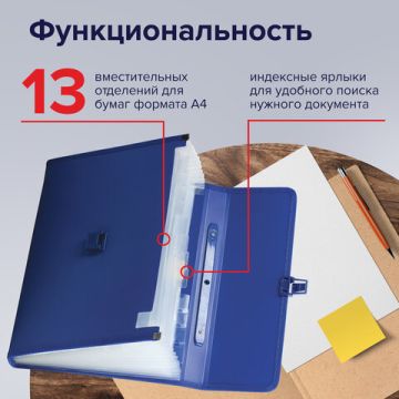 Папка-портфель BRAUBERG  332х245х35мм 13отд пластик синий 1/10 (клиент)