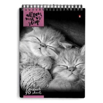 Блокнот 40л А5 131х198мм клетка гребень обложка лам картон (5 видов) АЛЬТ Кошки 1/5/50