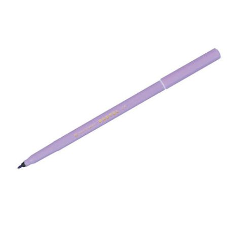 Фломастеры 10цв смываемые пастельные CENTROPEN Colour World Pastek 7550/10ТР 1/24