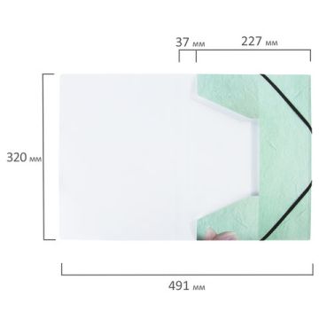 Папка на резинках BRAUBERG FLOWER до 300 листов 500 мкм 1/12/180 (Клиент)