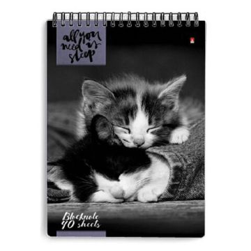 Блокнот 40л А5 131х198мм клетка гребень обложка лам картон (5 видов) АЛЬТ Кошки 1/5/50